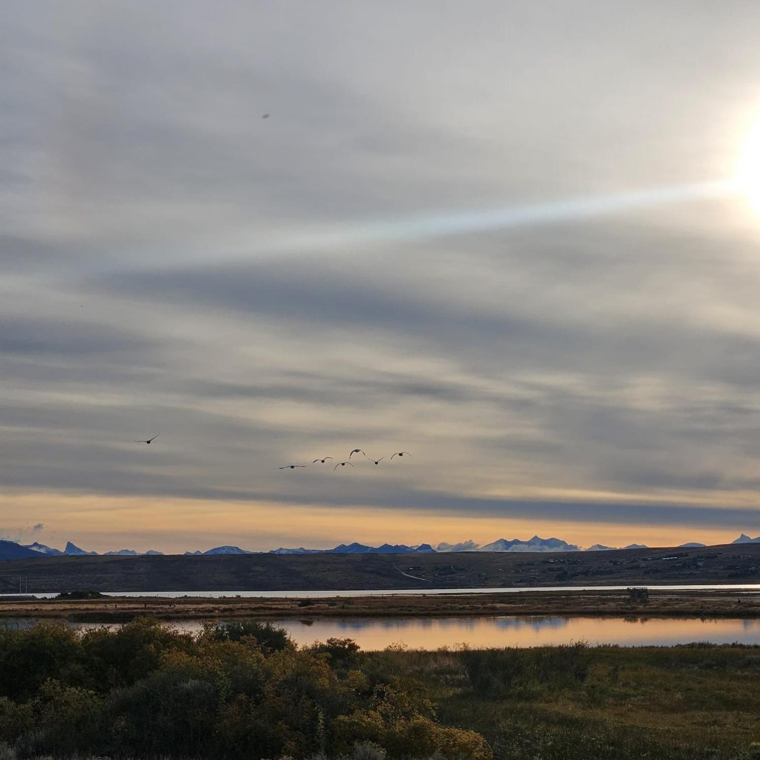 Terminal Suites El Calafate Luaran gambar